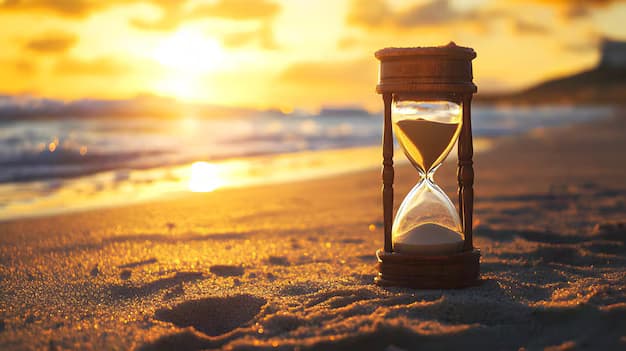 Plus de 33 ans d'expérience